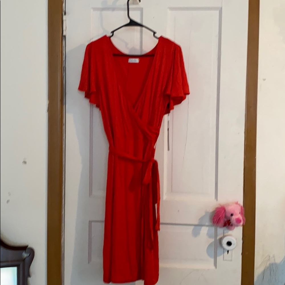Calvin Klein poppy dress